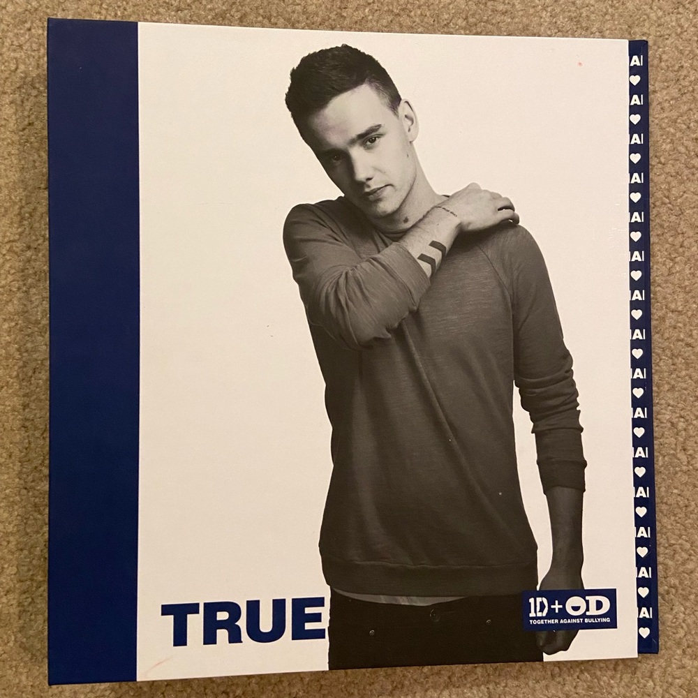 Liam Payne Office Depot Binder